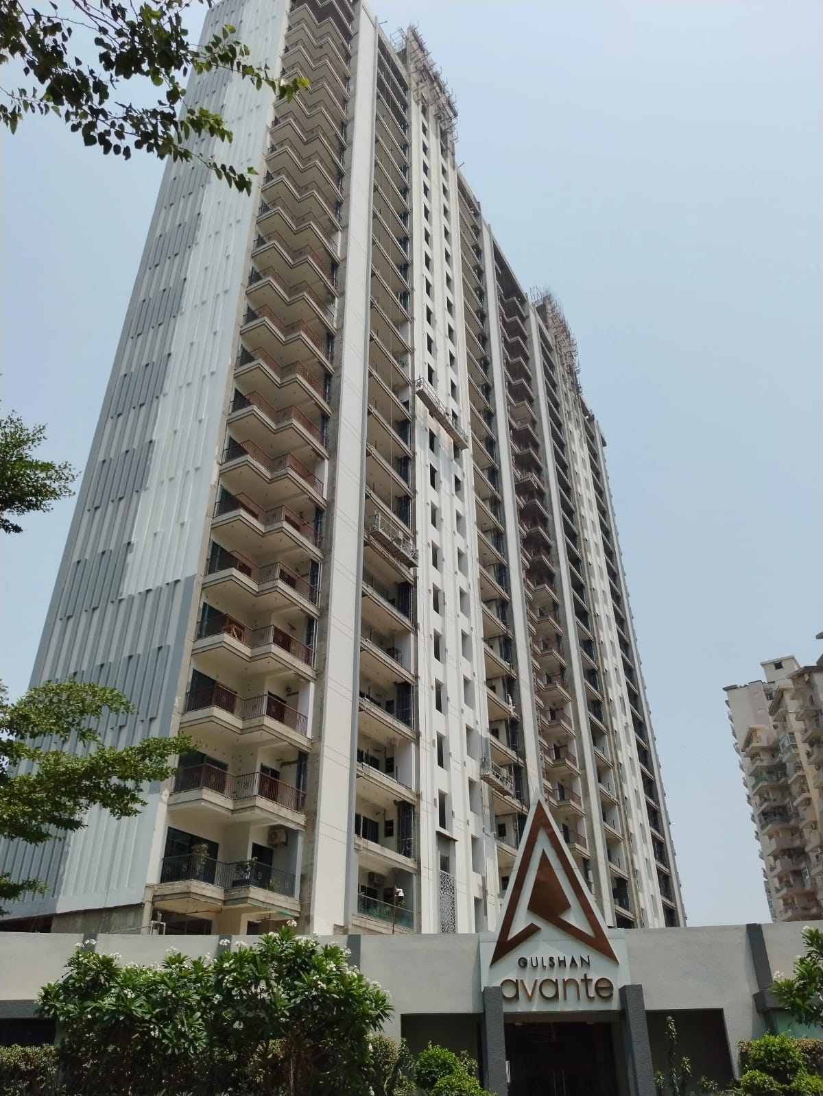Image-2
